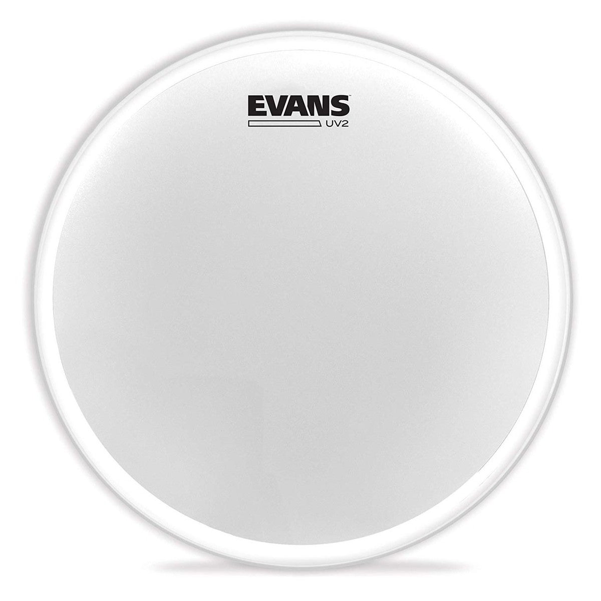 Evans UV2 8 inch coated drum head, front view showing the white coated surface and Evans UV2 logo