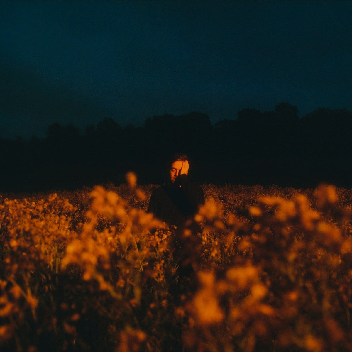 Figure lit by warm light standing in a field of yellow flowers at dusk