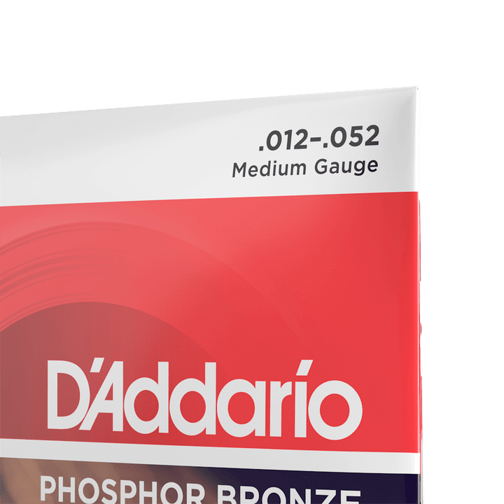 D'Addario EJ39 12-string acoustic strings, third packet view