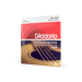 D'Addario EJ39 phosphor bronze 12-string acoustic guitar strings, medium 12-52, in the packet