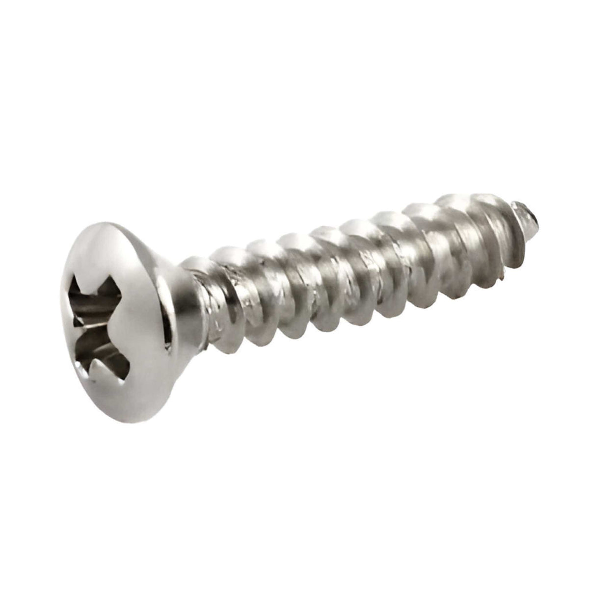 Single nickel pickguard screw close-up, showing the oval cross-head and coarse self-tapping thread