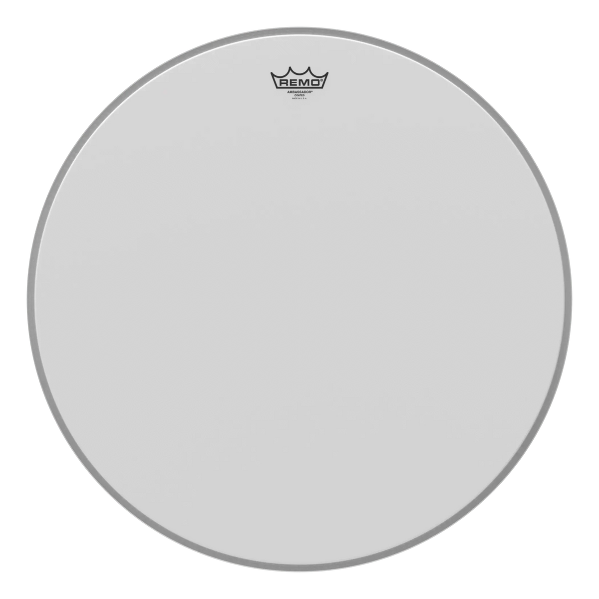 Largest Remo Ambassador Coated head in the photos, white coated film